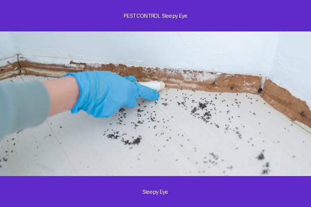 PEST CONTROL Sleepy Eye